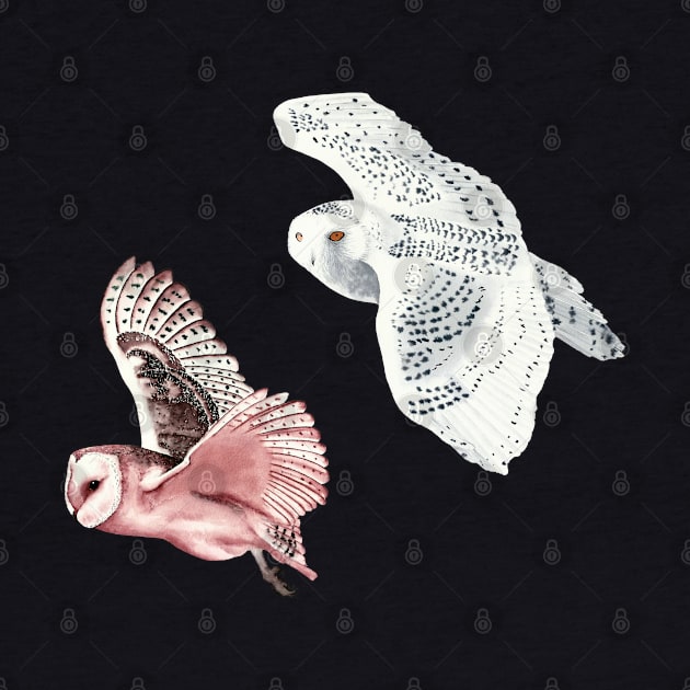 Flying owls by Lara Plume